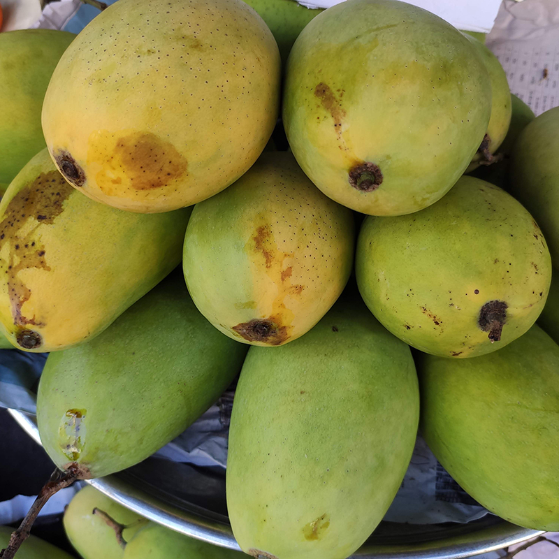 Xoài cát Hoà Lộc loại 1